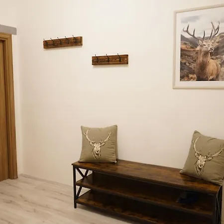 Moderne Ferienwohnung Nahe Skigebiet! Appartement Grossveitschtal